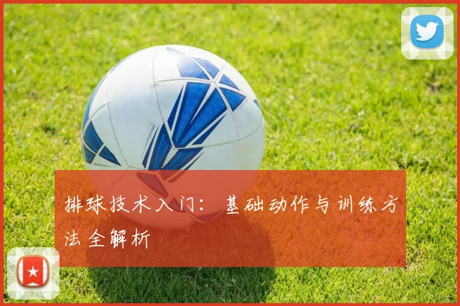 排球技术入门:基础动作与训练方法全解析