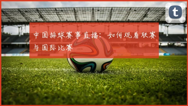 中国排球赛事直播：如何观看联赛与国际比赛