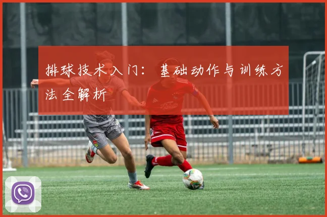 排球技术入门:基础动作与训练方法全解析