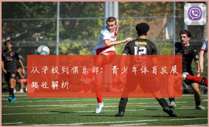从学校到俱乐部:青少年体育发展路径解析